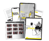 Primer – Arms