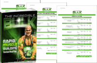 The Incredible Bulk - Custom Meal Plans
