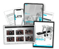 Primer - Back / Lats